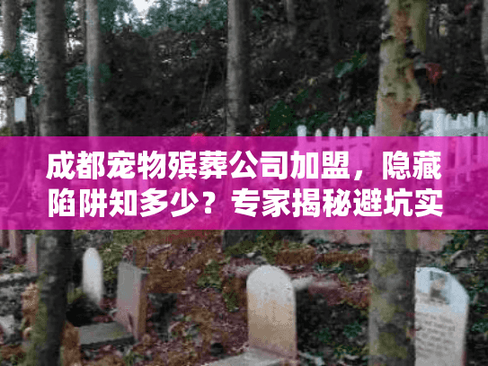 成都宠物殡葬公司加盟，隐藏陷阱知多少？专家揭秘避坑实战