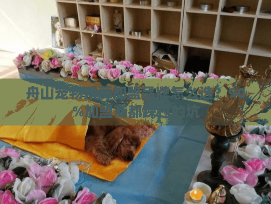 舟山宠物殡葬加盟品牌怎么选？90%加盟商都踩过的坑