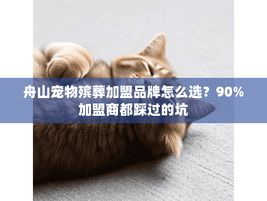 舟山宠物殡葬加盟品牌怎么选？90%加盟商都踩过的坑