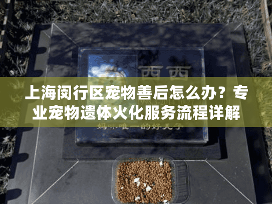 上海闵行区宠物善后怎么办？专业宠物遗体火化服务流程详解