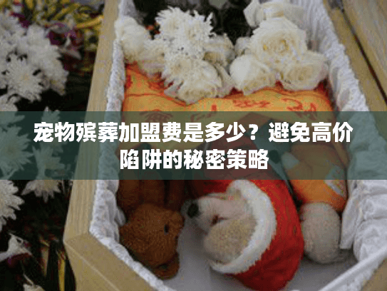 宠物殡葬加盟费是多少?避免高价陷阱的秘密策略 宠物殡葬加盟费是多少?避免高价陷阱的秘密策略