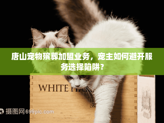 唐山宠物殡葬加盟业务，宠主如何避开服务选择陷阱？