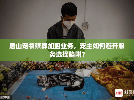 唐山宠物殡葬加盟业务，宠主如何避开服务选择陷阱？