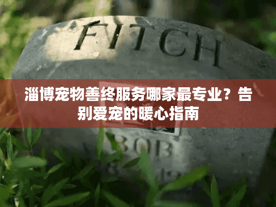 淄博宠物善终服务哪家最专业？告别爱宠的暖心指南