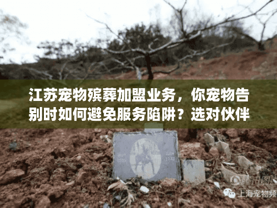 江苏宠物殡葬加盟业务，你宠物告别时如何避免服务陷阱？选对伙伴是关键救赎！