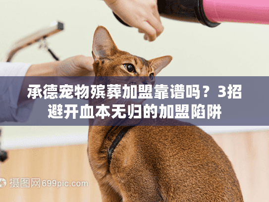 承德宠物殡葬加盟靠谱吗？3招避开血本无归的加盟陷阱