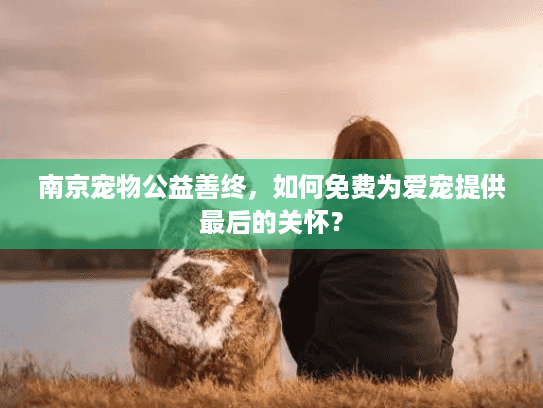 南京宠物公益善终，如何免费为爱宠提供最后的关怀？