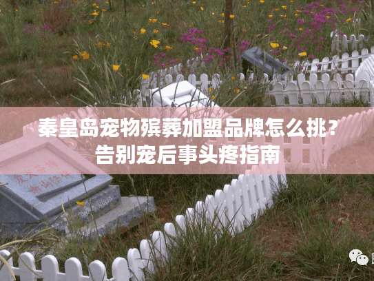 秦皇岛宠物殡葬加盟品牌怎么挑？告别宠后事头疼指南