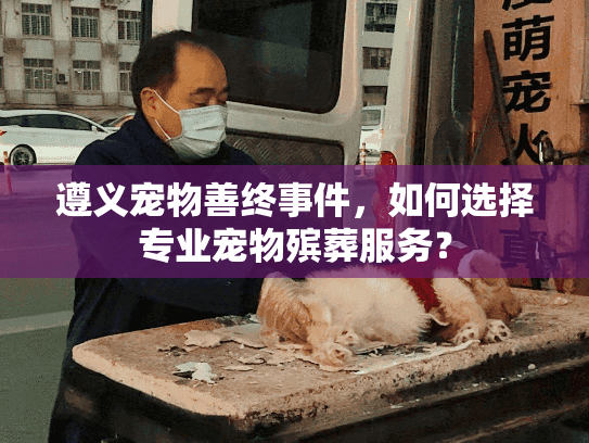 遵义宠物善终事件，如何选择专业宠物殡葬服务？