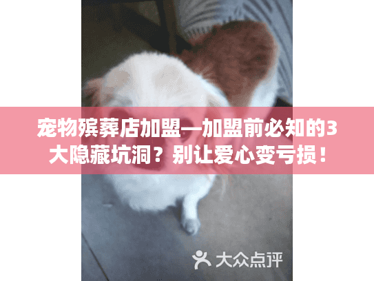 宠物殡葬店加盟—加盟前必知的3大隐藏坑洞?别让爱心变亏损! 宠物殡葬店加盟—加盟前必知的3大隐藏坑洞?别让爱心变亏损!