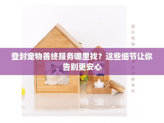 登封宠物善终服务哪里找？这些细节让你告别更安心