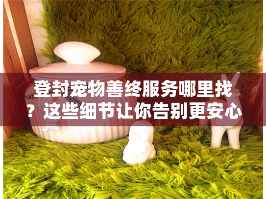 登封宠物善终服务哪里找？这些细节让你告别更安心