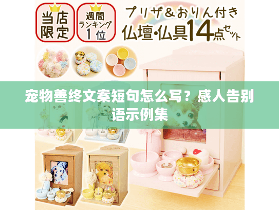 宠物善终文案短句怎么写？感人告别语示例集