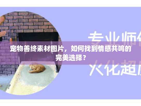 宠物善终素材图片，如何找到情感共鸣的完美选择？