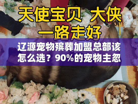 辽源宠物殡葬加盟总部该怎么选？90%的宠物主忽略这3个致命问题