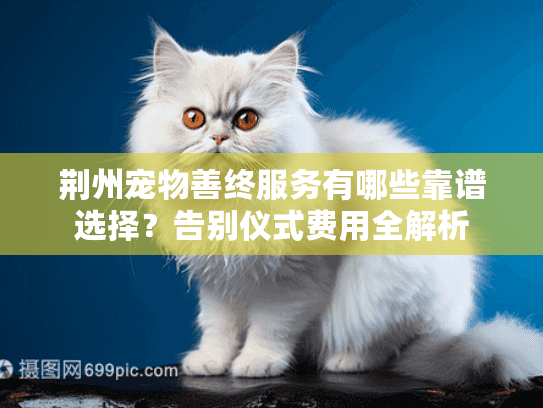 荆州宠物善终服务有哪些靠谱选择？告别仪式费用全解析