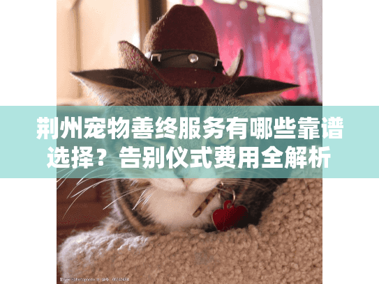 荆州宠物善终服务有哪些靠谱选择？告别仪式费用全解析