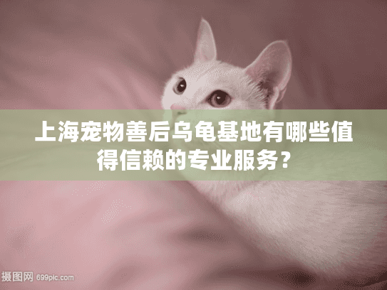 上海宠物善后乌龟基地有哪些值得信赖的专业服务？