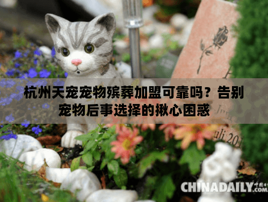 杭州天宠宠物殡葬加盟可靠吗？告别宠物后事选择的揪心困惑