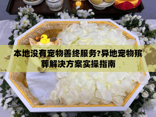 本地没有宠物善终服务?异地宠物殡葬解决方案实操指南