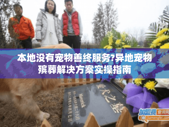 本地没有宠物善终服务?异地宠物殡葬解决方案实操指南