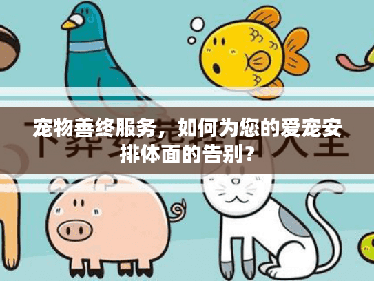 宠物善终服务，如何为您的爱宠安排体面的告别？