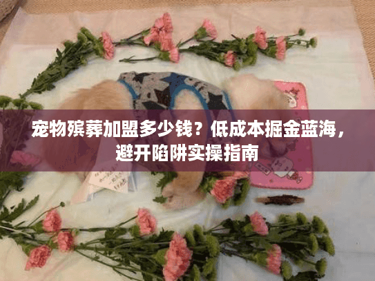 宠物殡葬加盟多少钱?低成本掘金蓝海,避开陷阱实操指南 宠物殡葬加盟多少钱?低成本掘金蓝海,避开陷阱实操指南
