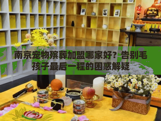 南京宠物殡葬加盟哪家好？告别毛孩子最后一程的困惑解疑