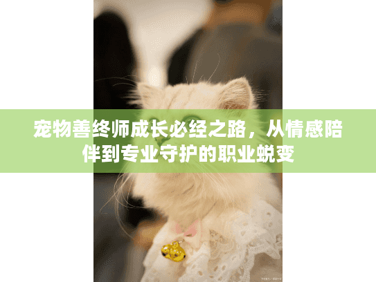 宠物善终师成长必经之路，从情感陪伴到专业守护的职业蜕变