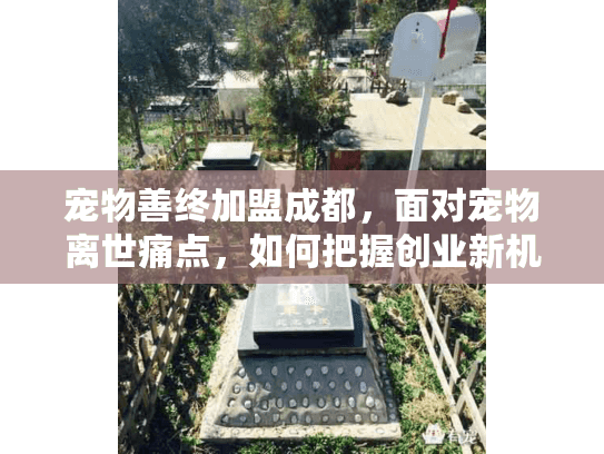 宠物善终加盟成都，面对宠物离世痛点，如何把握创业新机遇？