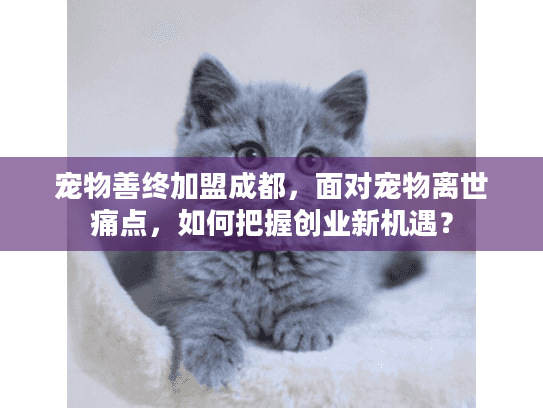 宠物善终加盟成都，面对宠物离世痛点，如何把握创业新机遇？