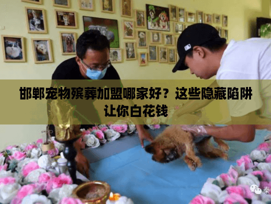 邯郸宠物殡葬加盟哪家好？这些隐藏陷阱让你白花钱