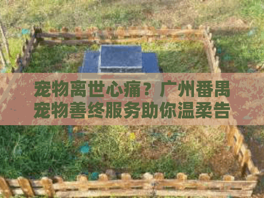 宠物离世心痛？广州番禺宠物善终服务助你温柔告别