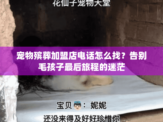 宠物殡葬加盟店电话怎么找？告别毛孩子最后旅程的迷茫