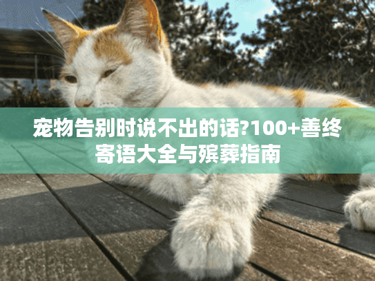 宠物告别时说不出的话?100+善终寄语大全与殡葬指南