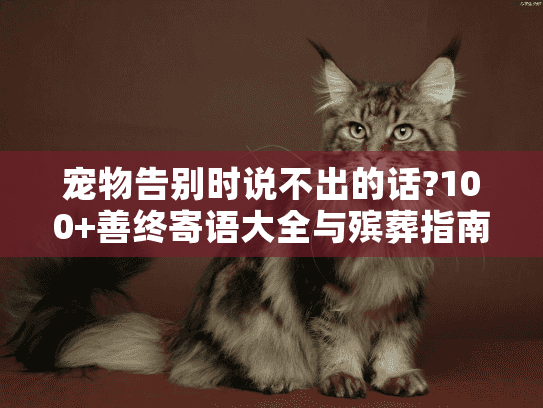 宠物告别时说不出的话?100+善终寄语大全与殡葬指南