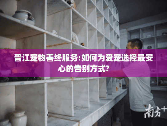 晋江宠物善终服务:如何为爱宠选择最安心的告别方式?