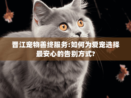 晋江宠物善终服务:如何为爱宠选择最安心的告别方式?