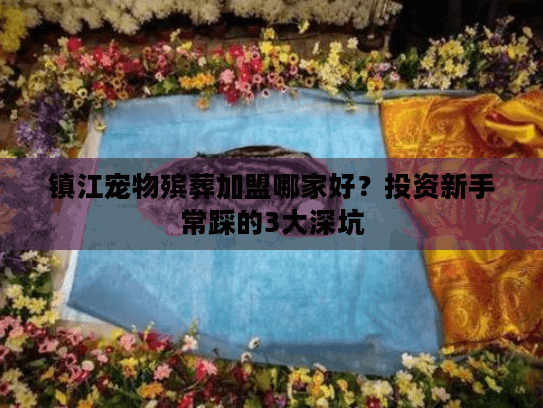 镇江宠物殡葬加盟哪家好？投资新手常踩的3大深坑