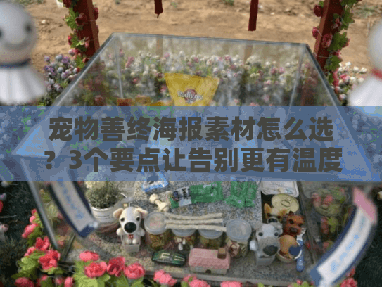 宠物善终海报素材怎么选？3个要点让告别更有温度