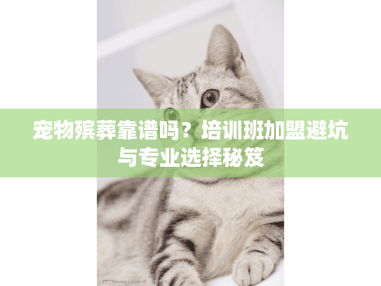 宠物殡葬靠谱吗?培训班加盟避坑与专业选择秘笈 宠物殡葬靠谱吗?培训班加盟避坑与专业选择秘笈