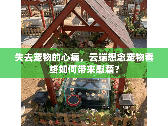 失去宠物的心痛，云端想念宠物善终如何带来慰藉？