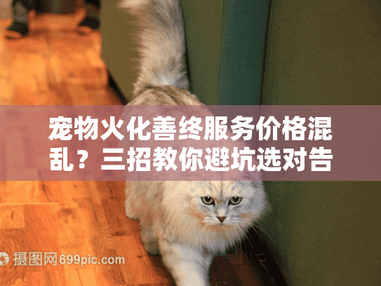 宠物火化善终服务价格混乱？三招教你避坑选对告别方式