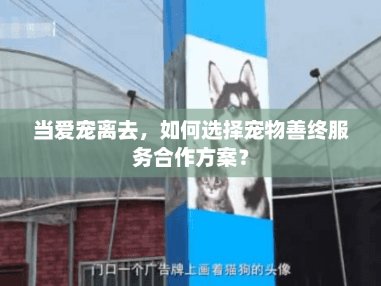 当爱宠离去，如何选择宠物善终服务合作方案？