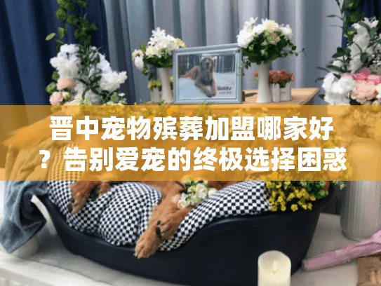 晋中宠物殡葬加盟哪家好？告别爱宠的终极选择困惑