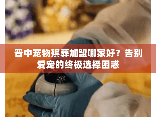 晋中宠物殡葬加盟哪家好？告别爱宠的终极选择困惑