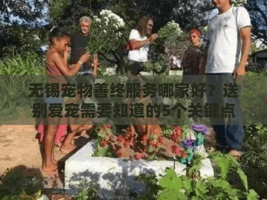 无锡宠物善终服务哪家好？送别爱宠需要知道的5个关键点
