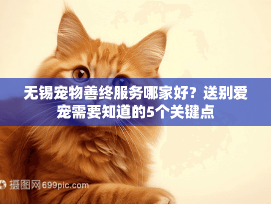 无锡宠物善终服务哪家好？送别爱宠需要知道的5个关键点