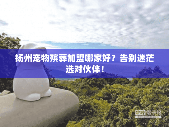 扬州宠物殡葬加盟哪家好？告别迷茫选对伙伴！