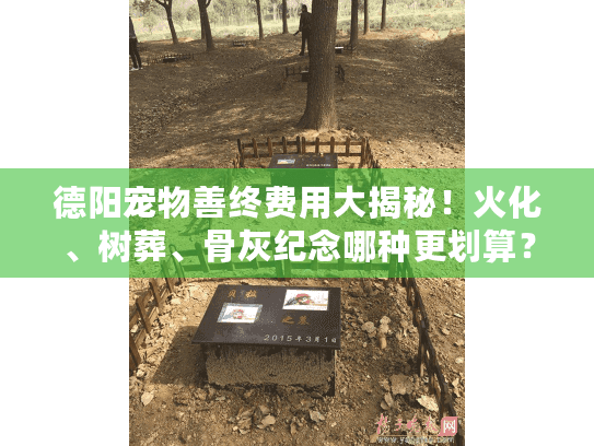 德阳宠物善终费用大揭秘！火化、树葬、骨灰纪念哪种更划算？